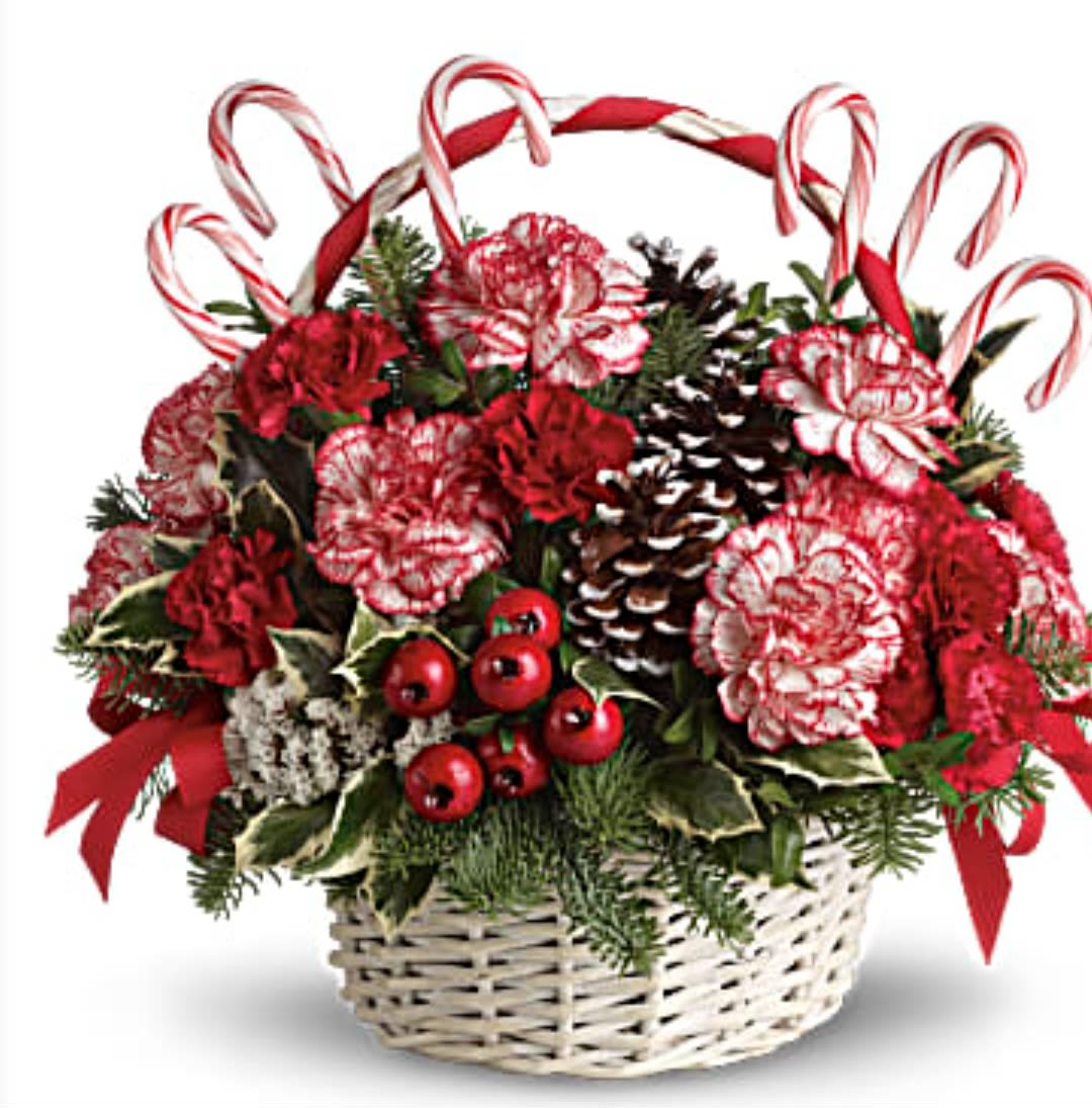 Basket arrangement with red and white carnations, candy canes, and pinecones