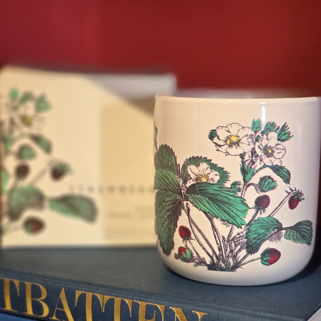 Floral-printed ceramic mug on a book with a matching box behind it