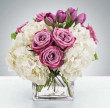 Here for You  - Express your condolences after the loss of a loved one or just because. Sending this clean purple and white arrangement featuring lavender roses and white hydrangea is a way to show you care and are thinking of them.  Approximate Dimensions: 11"D x 11"H