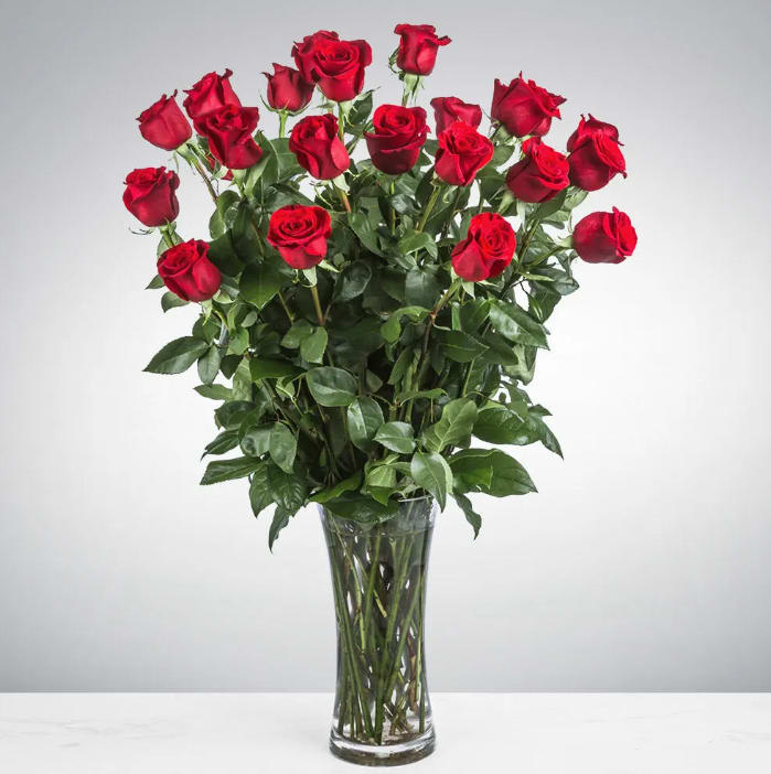Two Dozen Long Stemmed Roses by BloomNation™ - These two dozen red roses provides the classic romantic gift. It's perfect for Valentine's Day or an Anniversary. APPROXIMATE DIMENSIONS: 30" H X 22" W