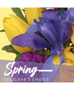 Bouquet of yellow and purple tulips with a spring designer's choice label