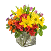 Juicy by BloomNation™ - Juicy by BloomNation™ packs a color punch! Featuring over 6 different flowers and greens, all in different colors, this arrangement is a great option for sending to co-workers, friends, or clients. Make a brightly colored splash.  Approximate Dimensions: 11"D x 11"H