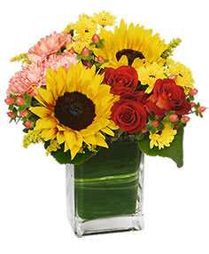 Sunflowers, red roses, and pink carnations in a square glass vase