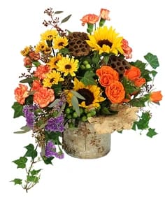 Wild Ivy Autumn by FSN - Send a beautiful floral arrangement today!  Bark-covered container 1 decorative dried mushroom 2 dried lotus pods 3 stems ivy 1 stem seeded eucalyptus 2 stems orange spray roses 2 stems yellow spray chrysanthemums 2 stems orange variegated mini carnations 2 yellow sunflowers 2 stems green hypericum 1 stem purple statice  Copyright Flower Shop Network