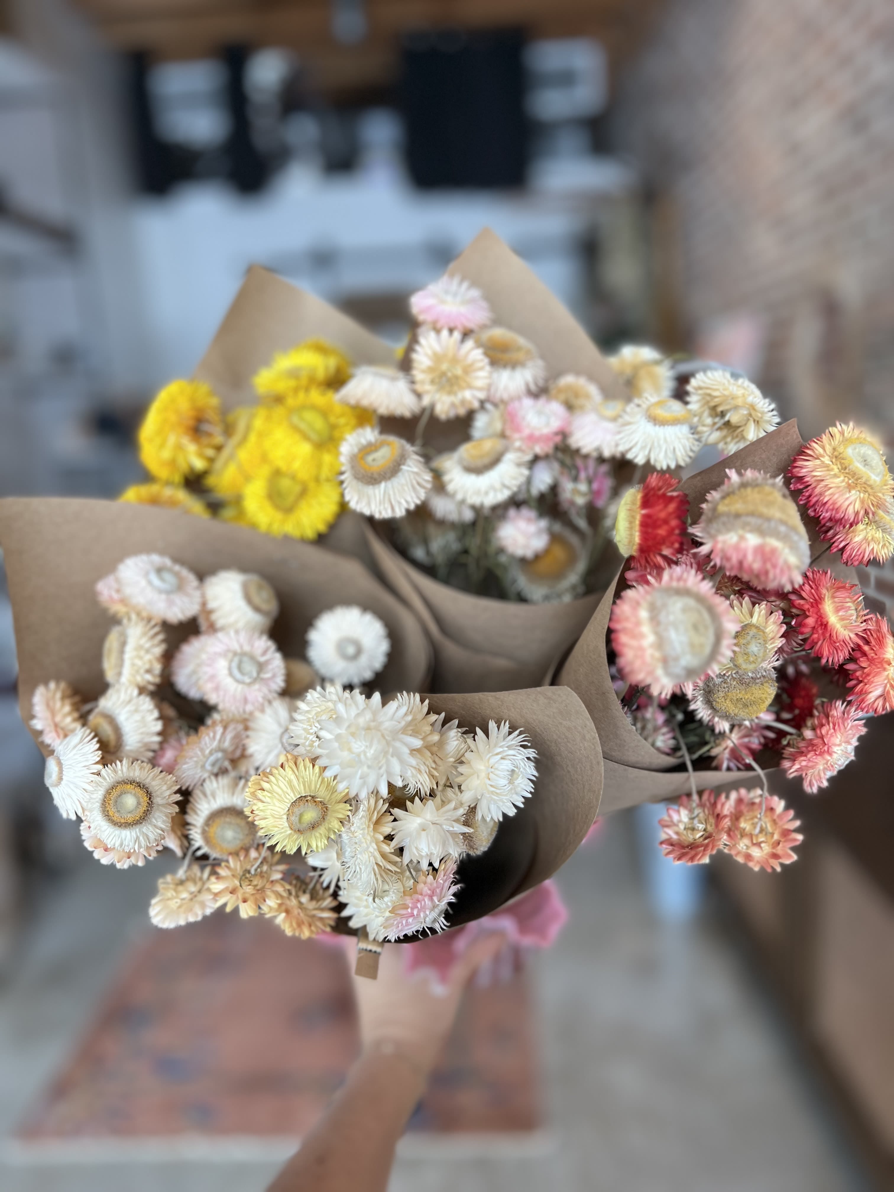 Bouquets of dried strawflowers wrapped in brown paper