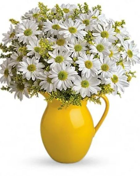 Sunny Day Pitcher of Daisies - Picture someone receiving this sunny pitcher of daisies! It's so bright and full of warmth, it's guaranteed to make them smile. Besides being the perfect bouquet for any occasion, the dazzling yellow ceramic pitcher can be used and enjoyed for years to come. Let's hear it for yellow spray roses and cheerful yellow and white daisy spray chrysanthemums plus solidago delivered in an exclusive keepsake vase. 