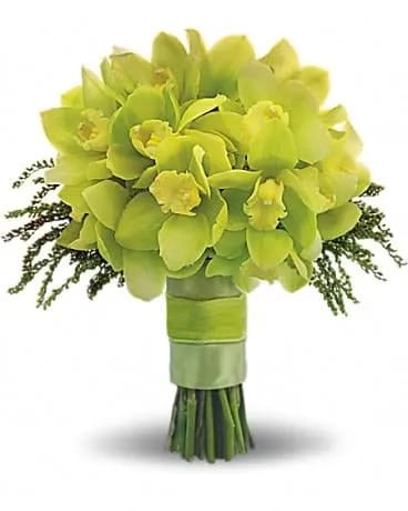 Bouquet of lime green orchids tied with green ribbon
