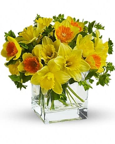 Daffodil Dreams - Daffodil dreams can come true. It can happen to you and those you care about when you send this dreamy daffodil bouquet. Bright yellow daffodils, bi-color daffodils and bupleurum are delightfully arranged in a stylish cube glass vase. So go ahead and make someone's dream come true. 