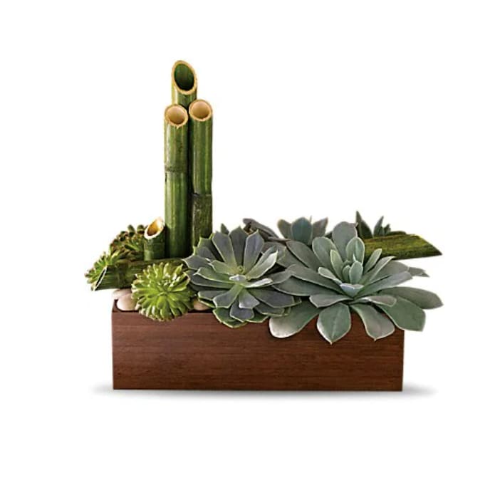 Succulent arrangement in a wooden box with bamboo stalks