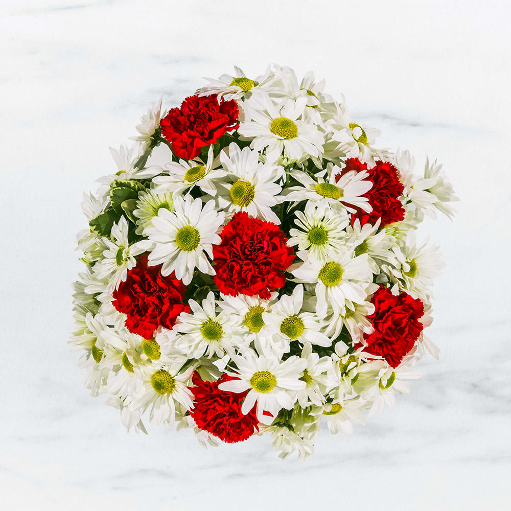 Daisy Crazy by BloomNation™ - A modest gift that will make a lasting impression. Daisy Crazy by BloomNation™ is the perfect gift for a birthday or just to show you care.   Arrangement Details: Includes white chrysanthemum spray daisies, red carnations, and assorted greenery. APPROXIMATE DIMENSIONS: 12" H X 12" W