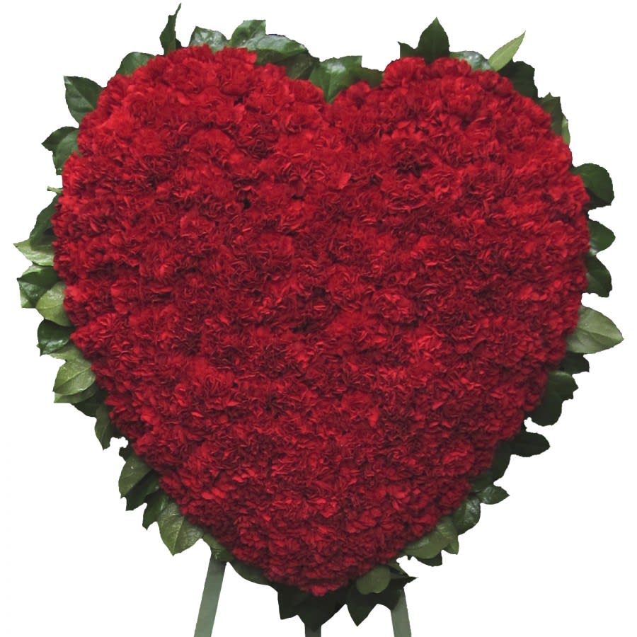 Heart-shaped arrangement of red carnations with green edging