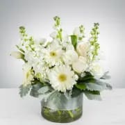 Purity by BloomNation™ - This arrangement contains gerbera daisies, roses, tulips, stock, and other seasonal blooms. APPROXIMATE DIMENSIONS: 15" D x 13" H
