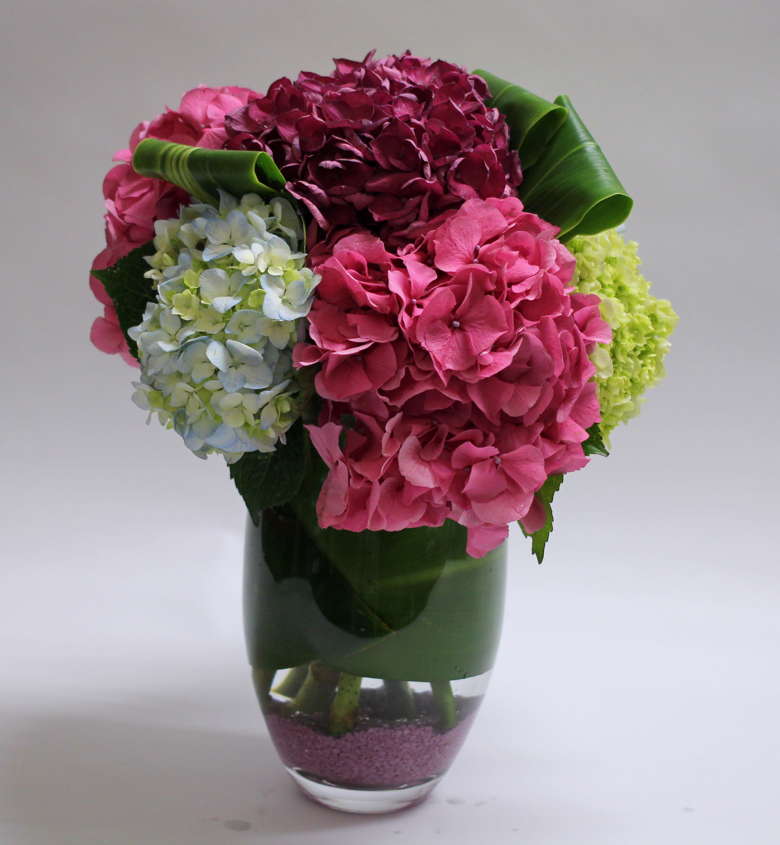 Pink and blue hydrangeas arranged in a glass vase
