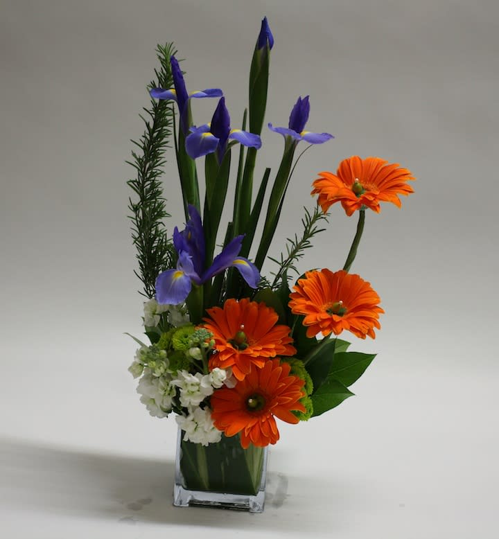 Orange gerbera daisies and purple irises in a clear square vase
