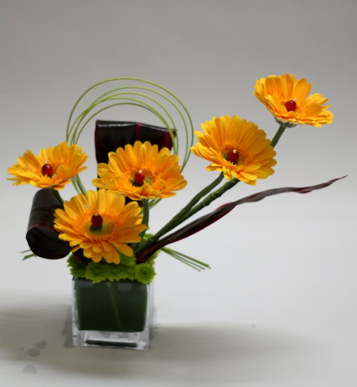 Orange gerbera daisies in a square glass vase with decorative loops