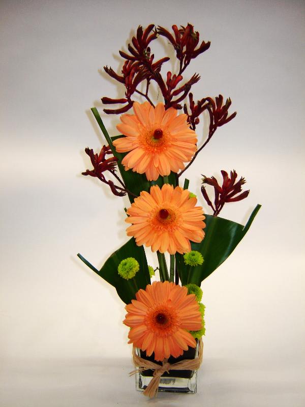 Orange gerbera daisies in a square glass vase with dark red accents