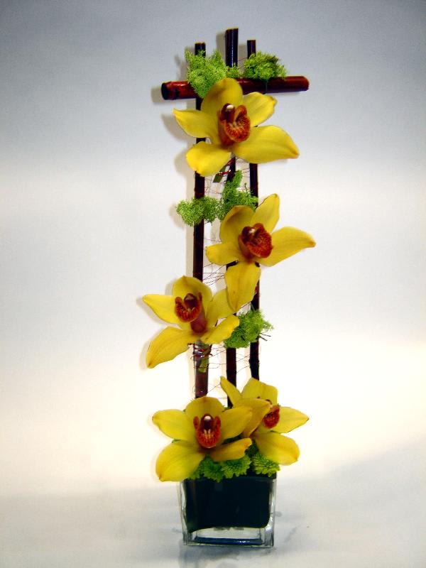 Tall arrangement of yellow orchids in a glass vase