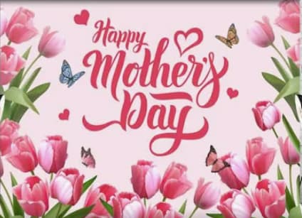 Happy Mother's Day! - A Designer's Choice flower arrangement is a unique floral composition crafted by a florist, showcasing their creativity and expertise. Using the freshest blooms, each arrangement is tailored to the occasion, ideal for those who appreciate floristry art. Perfect for events, or gifts, it promises originality and beauty, reflecting the florist's passion in every detail.