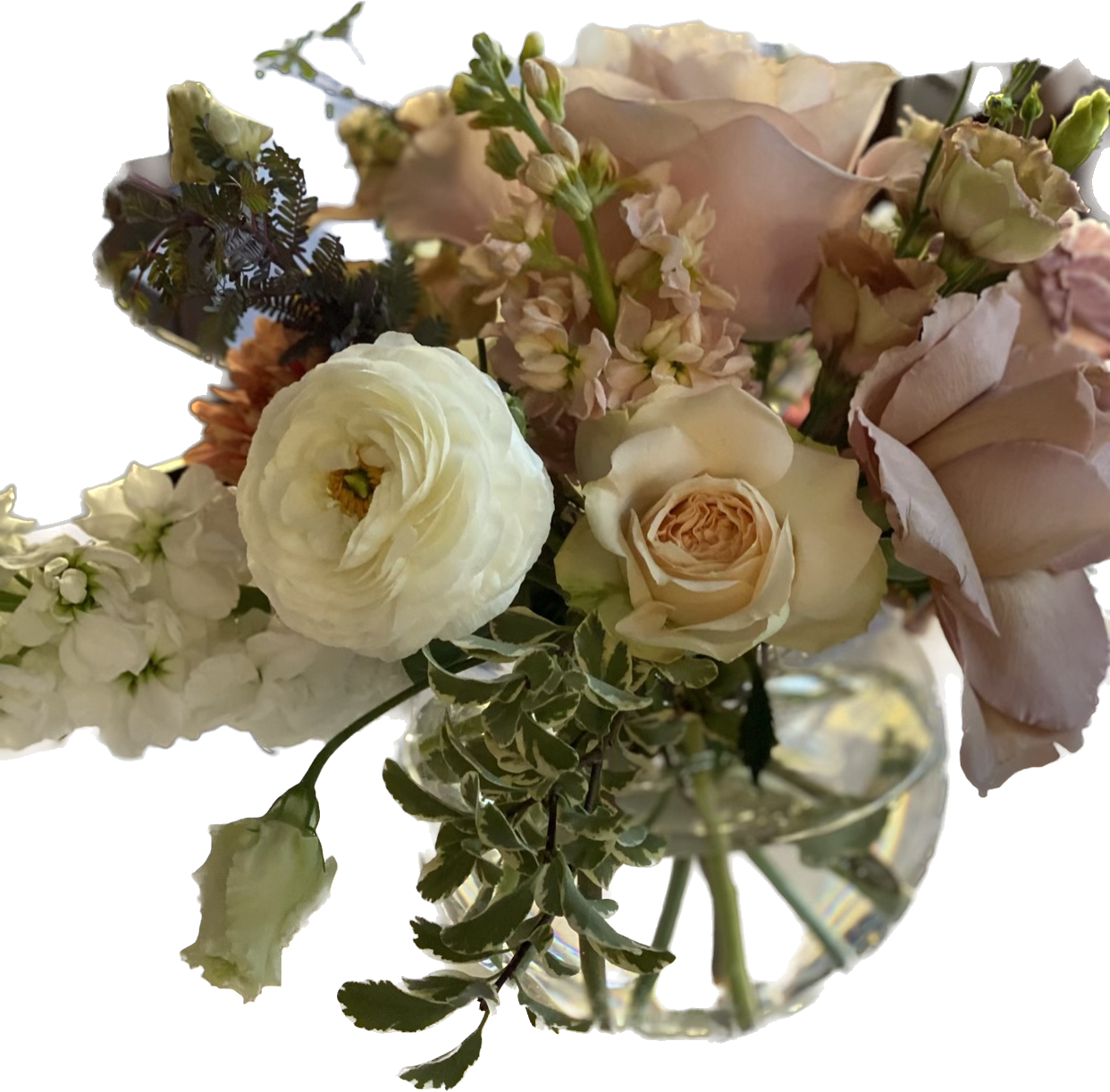 Baci (bah-chee) - This gorgeous round centerpiece is perfectly blended with soft earthy hues of nudes, blush and muted sage greens intricately nestled in a round glass vase  Ranunculus, garden roses, spray roses, snap dragons, stock and other pretty blooms.