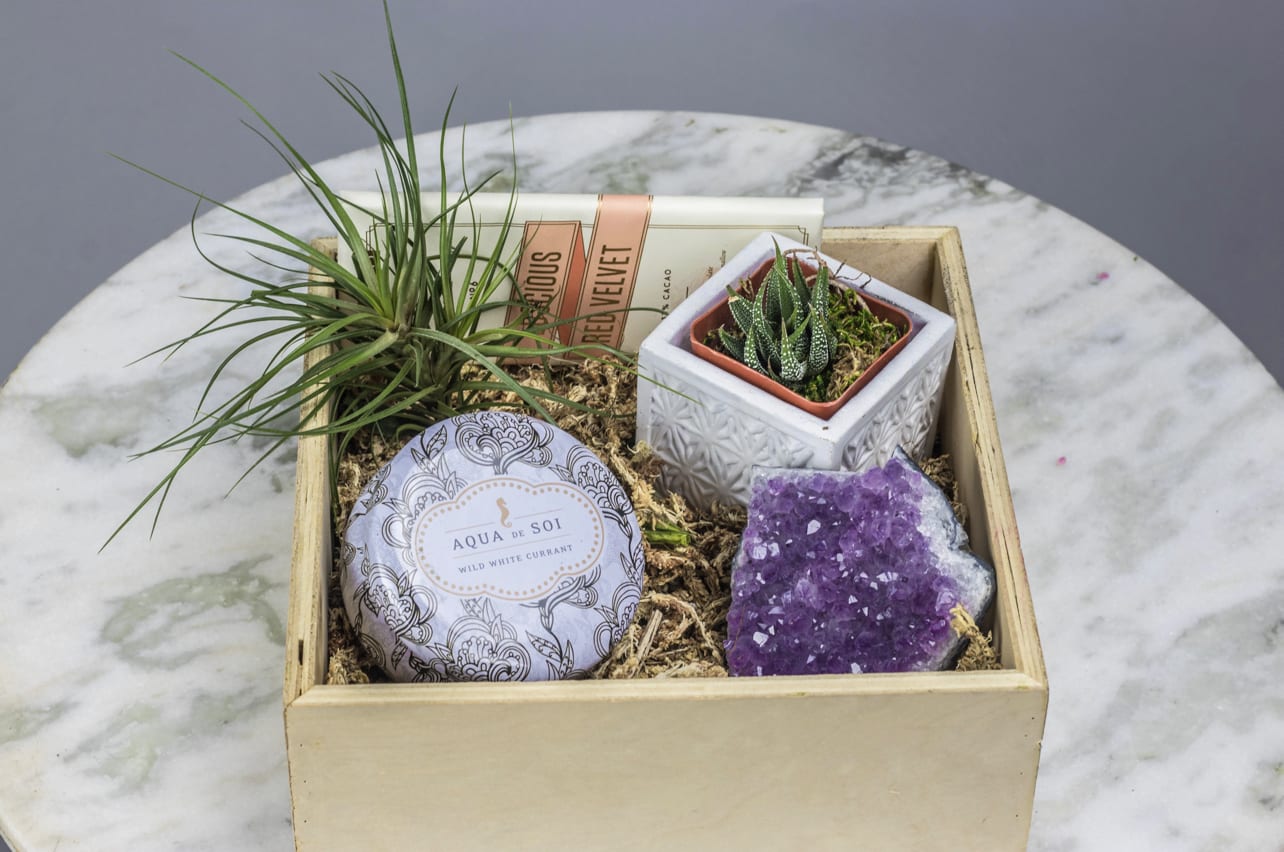 Gift box with a small potted succulent, air plant, candle, and purple crystal