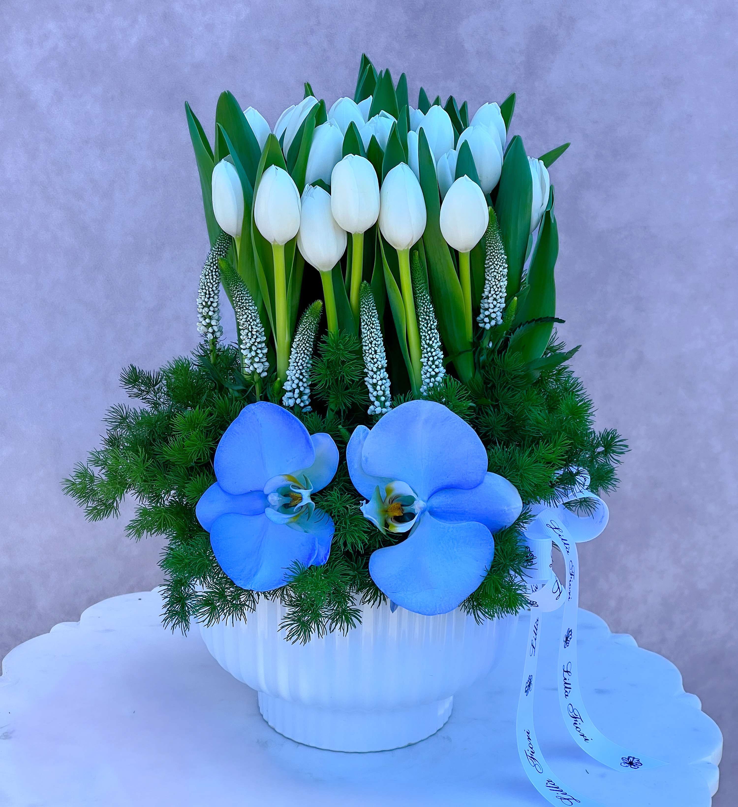 White tulips and blue orchids arranged in a white vase