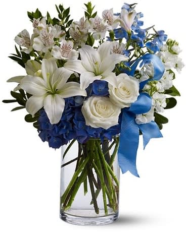 Winter Oasis - This tranquil medley of sky blue and cloud white flowers - accented with a graceful blue ribbon - is like an oasis of calm. An enchanting winter floral gift and a wonderful way to celebrate Hannukah or even a seasonal birthday. A mix of fresh blue and white flowers such as delphinium, roses, Asiatic lilies and hydrangea is accented with greenery and a blue ribbon, and delivered in a tall glass cylinder vase.