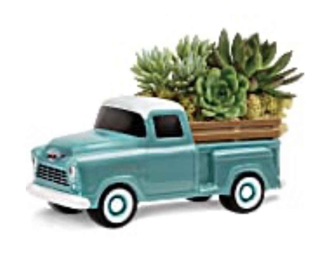 Toy pickup truck holding a succulent planter