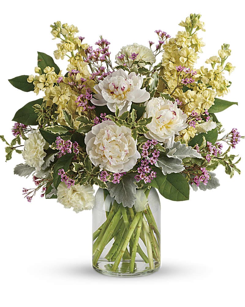 Springtime Peonies Bouquet - Everyone loves the lush, cloud-like appearance of fresh cut peonies. The romantic, feminine bloom is a popular summer wedding flower. In fact, many brides select their June or July wedding dates based on the cut peony flower season! Contains white peonies surrounded by light yellow carnations, light yellow stock, lavender waxflower, and more!