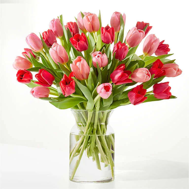 Crushing on You Tulip - Includes 30 stems of tulips, as well as a clear glass vase. This bouquet comes
