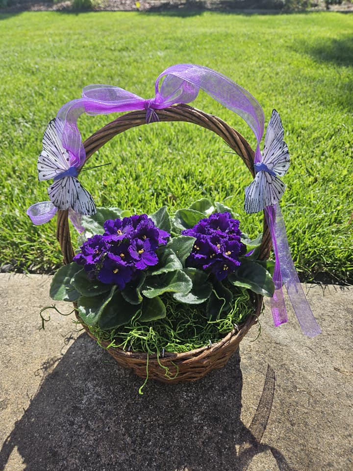 Basket of purple potted violets with a purple ribbon and butterfly decorations