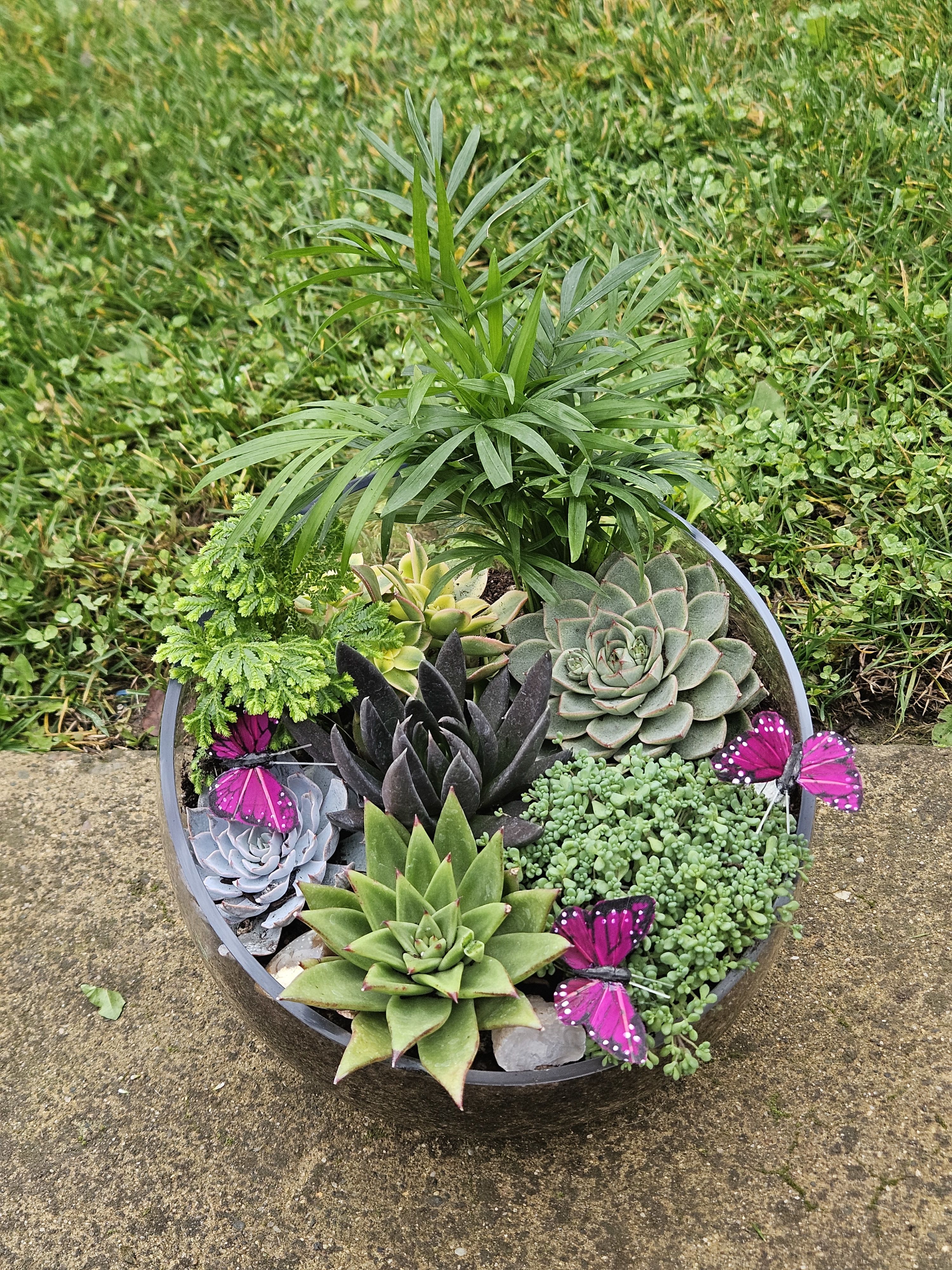 Round planter with assorted succulents and pink butterfly decorations