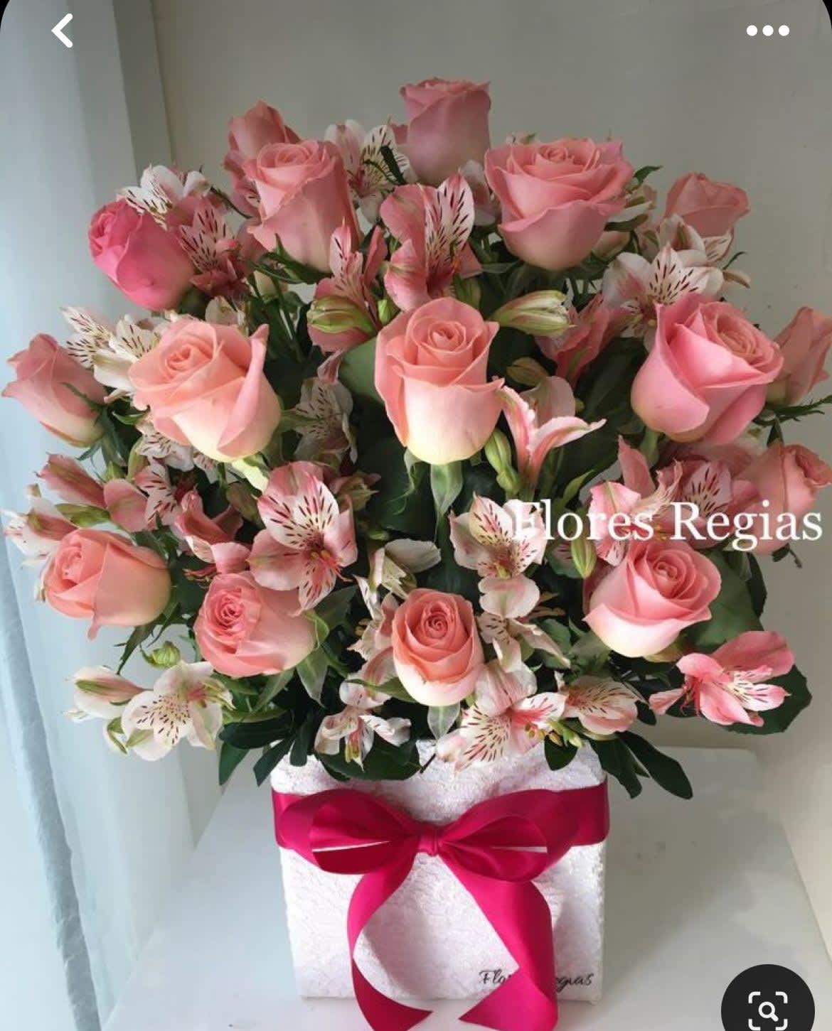 Festival Roses - Pink Roses, Astromelies