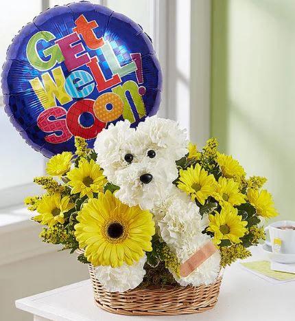 Sick As a Dog - Know someone having a “ruff” time? Our flower pup is the perfect pick-me-up for anyone under the weather. Handcrafted with bright white blooms and yellow accents, he comes with a Band-Aid to cover his boo-boo and a colorful Get Well balloon to cheer them right up with happy healing wishes. *** BASKET WILL VARY *** BALLOON INCLUDED ***