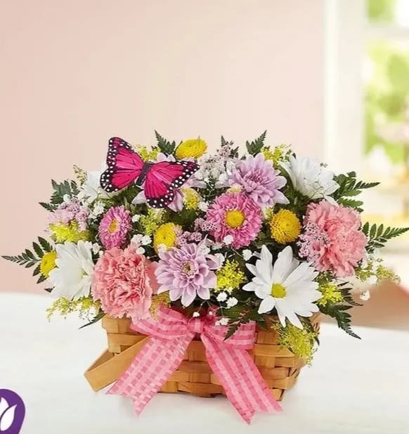 Blossoming Blooms Basket - Our charming basket of blooms is an easy, go-to gift for any occasion. Created by Sophie Clary of David’s Flowers in Oklahoma City OK, this sweet arrangement features a pastel floral mix inside a handled basket. Complete with a pink ribbon and playful butterfly accent, it’s designed to delight the people you love. ** BASKET WILL VARY **