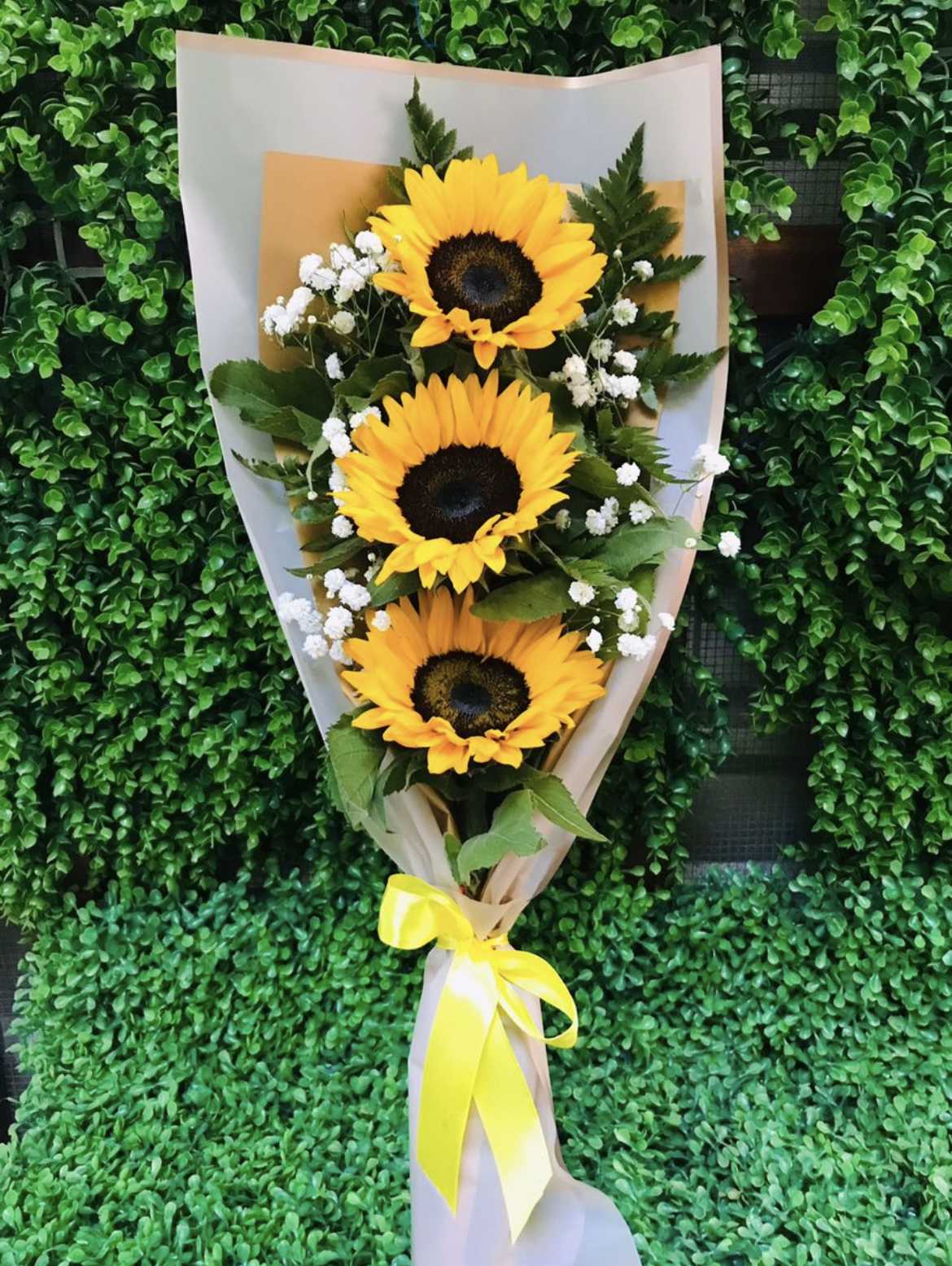3 Sunflowers Wrapped  - 3 Sunflowers Wrapped with Baby Breath Accents  ***Paper color may vary depending on availability **