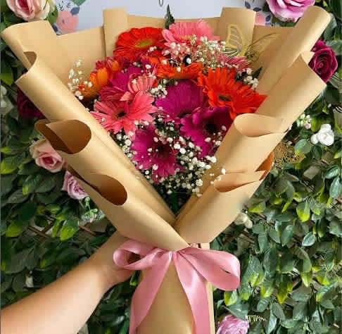 Bouquet of 12 Colorful Gerberas - 12 Gerberas in a Wrapped Bouquet with Baby Breath Accents. THE COLOR OF THE FLOWERS WILL VARY DEPENDING ON THE AVAILABILITY OF THE SHOP.