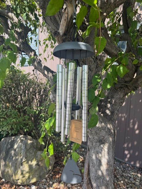 Wind chime hanging from a tree branch outdoors