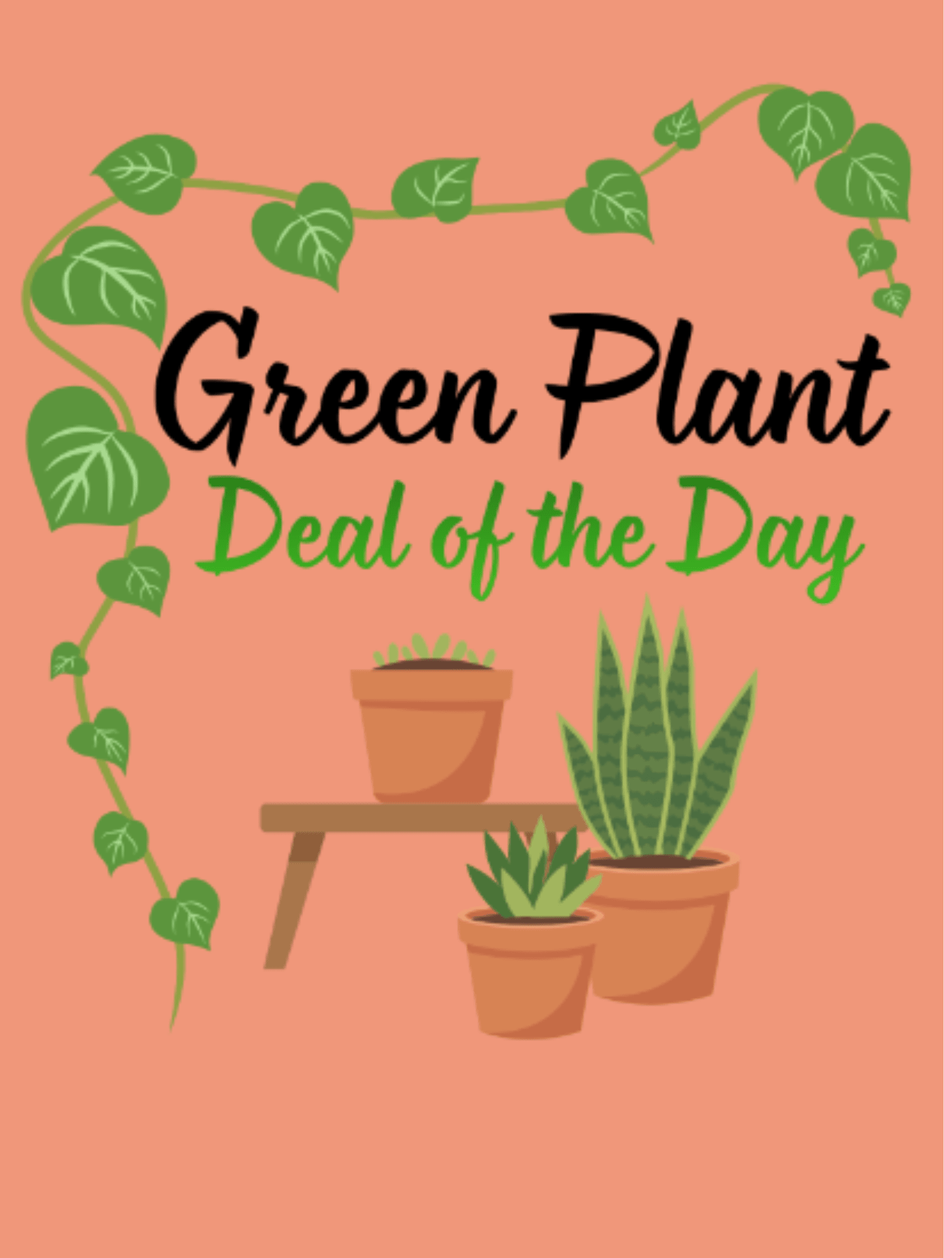 Green Plant - Deal of the Day - Let us pick out a beautiful green plant to send to someone special. The plant we choose will be in season and will be perfect for even those with a beginner green thumb.