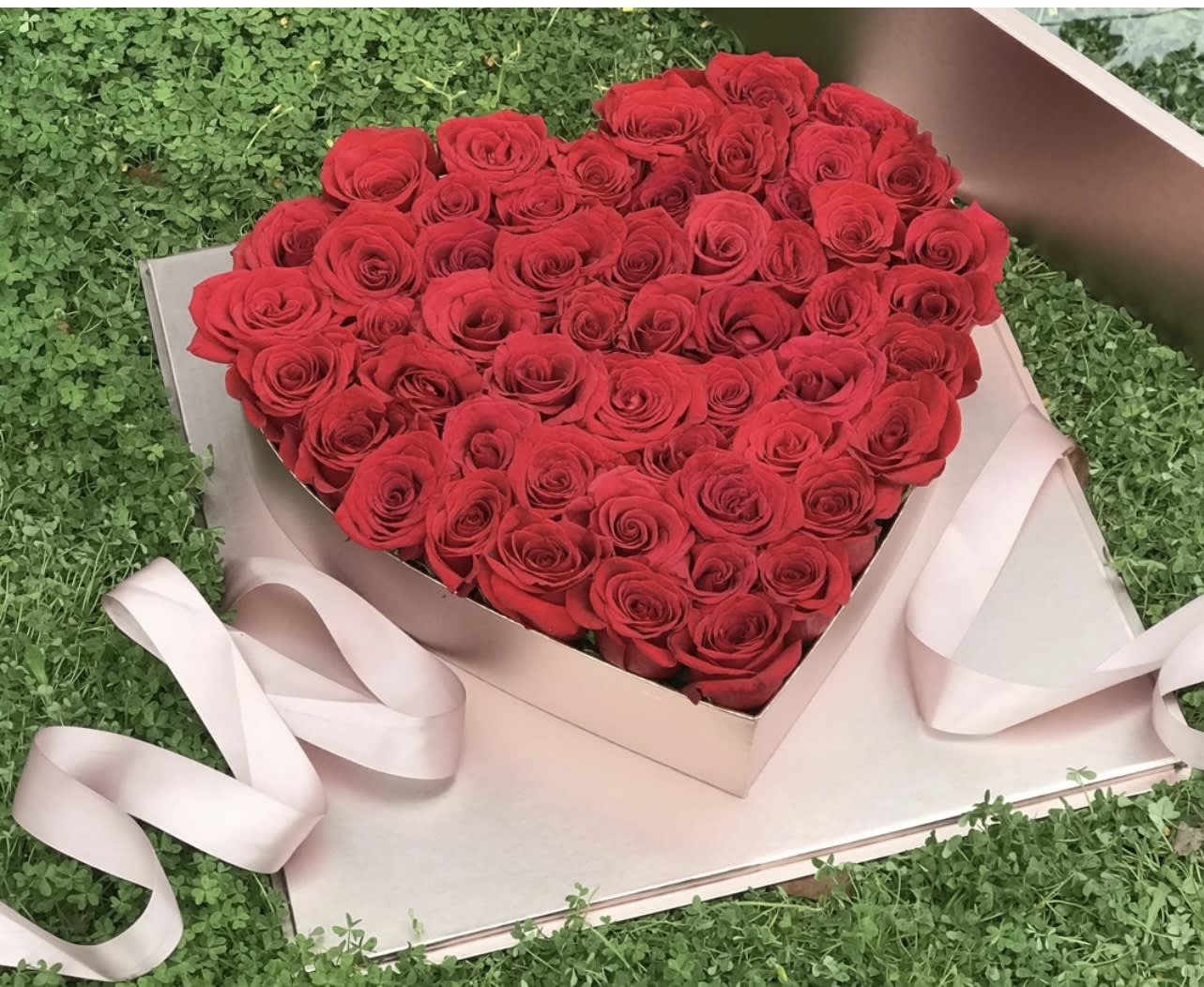 Heart-shaped box filled with red roses and pale pink ribbon
