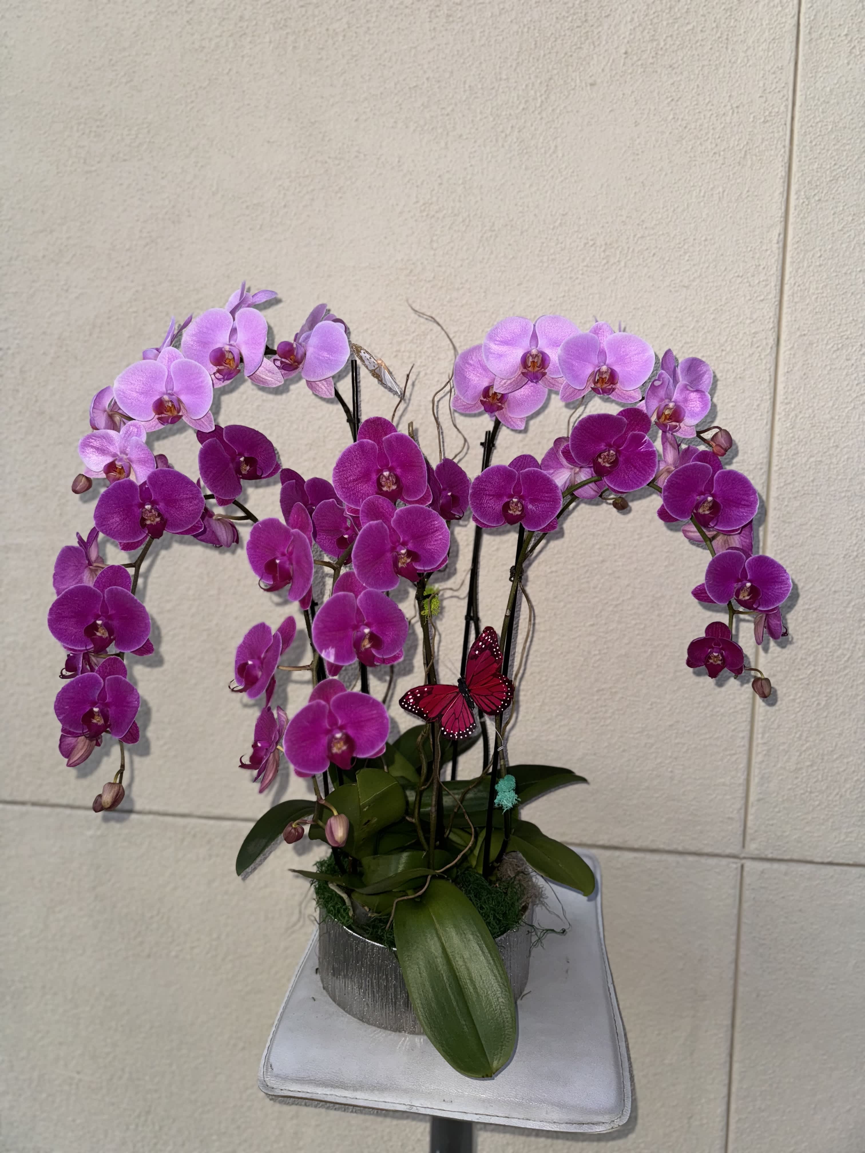 Pink and purple orchids arranged in a silver pot with a butterfly accent.