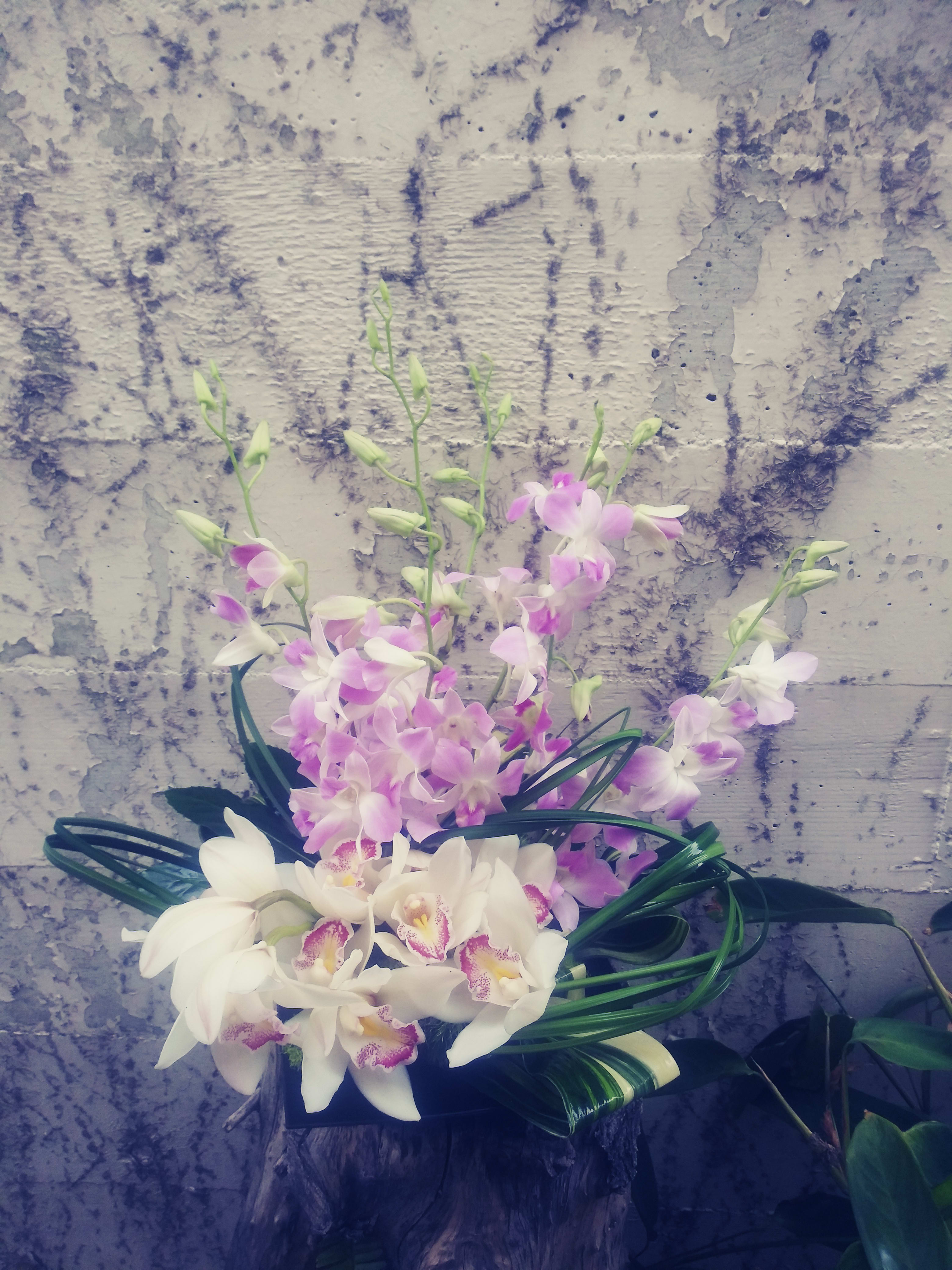 Whimisical Orchids -  Light colored variety of orchids in a black square vase.