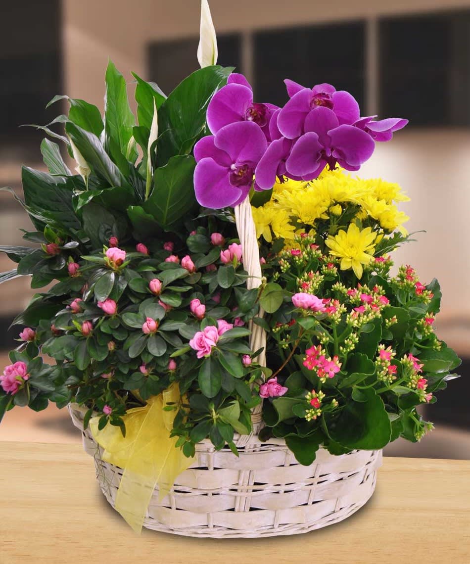 Stunning  Garden - In some instances, our photo may represent an overall theme or look and include a one-of-a-kind vase which cannot be exactly replicated.  Although the actual bouquet may not precisely match the photo, its temperament will. Occasionally, substitutions of flowers and/or containers happen due to weather, seasonality and market conditions which may affect availability. If this is the case with the gift you’ve selected, we will ensure that the style, theme and color scheme of your arrangement is preserved and will only substitute items of equal value or higher value.  If any design elements are of major importance to your order, please include them in the florist instructions at checkout or contact us to ensure availability. 