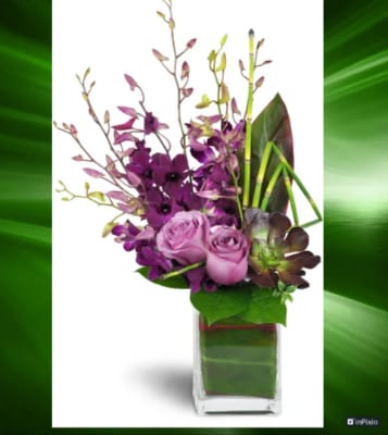 Orchid Jewel Tone Arrangement - A stunning floral arrangement featuring a 6x6 clear cube vase. The left side is adorned with elegant purple dendrobium orchids, while the front middle displays three beautiful lavender roses. In the right corner, a burgundy succulent adds a touch of contrast. The overall design is elevated by the incorporation of orchids and equisetum, creating a harmonious and visually appealing arrangement.