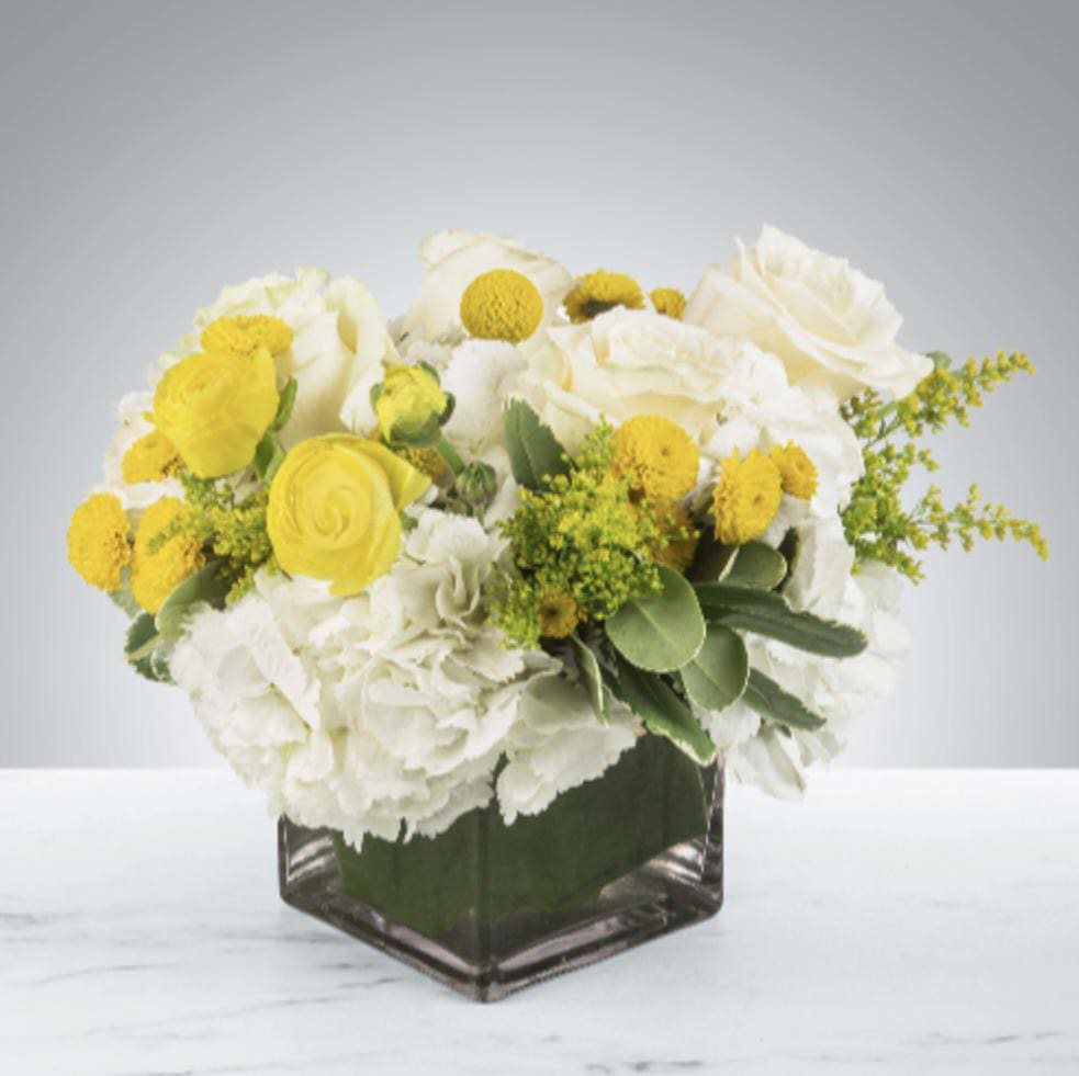 Honeybee by BloomNation™ - This white and yellow arrangement includes cream roses, button mums, and spray roses. Honeybee by BloomNation™ is the perfect way to brighten a day! Send a little joy and make somebody feel good. Perfect to send as a get well soon present or just because!   APPROXIMATE DIMENSIONS 12" W X 12" H