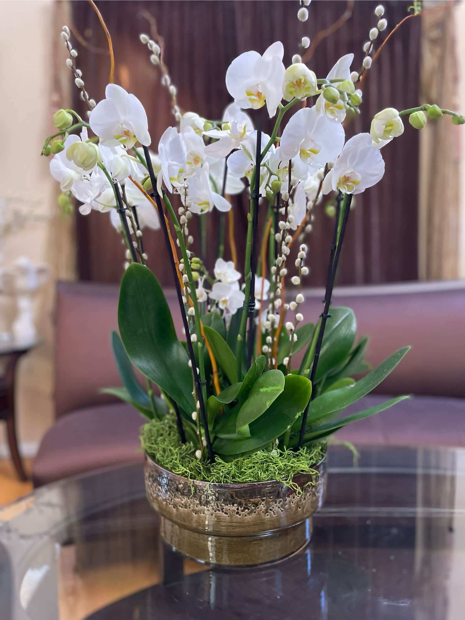 White orchids arranged in a low metallic bowl with moss