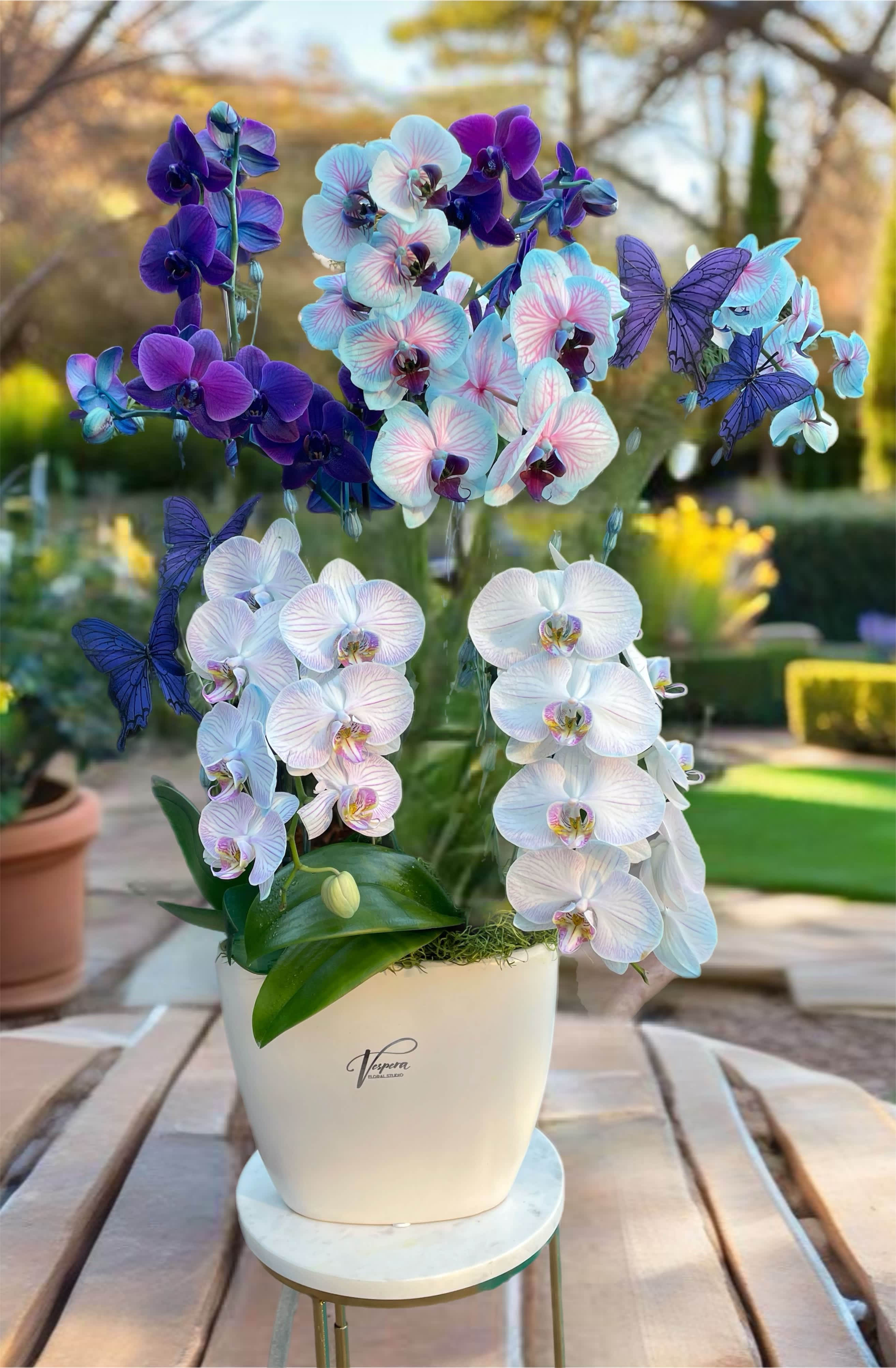 Potted orchids in white, blue, and purple with butterfly accents