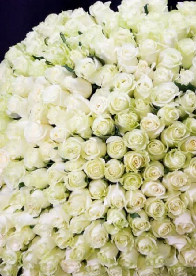 Dense bouquet of white roses against a dark background