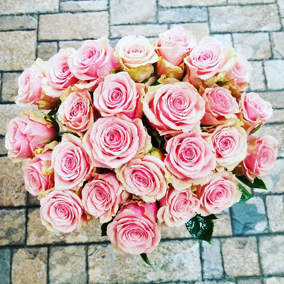 Bouquet of pink roses with pale cream edges