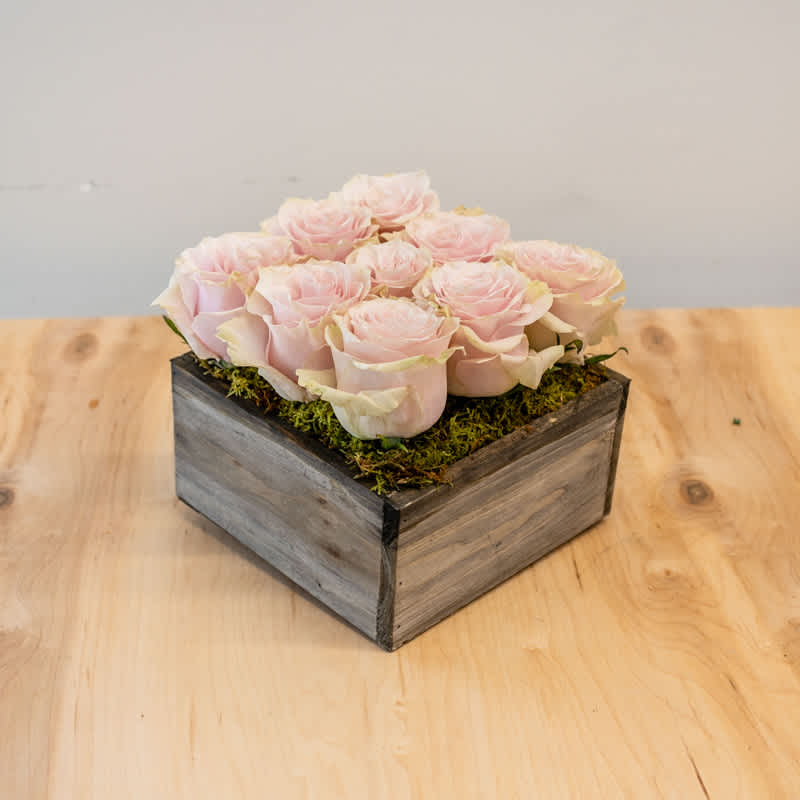 Pale pink roses arranged in a square wooden box