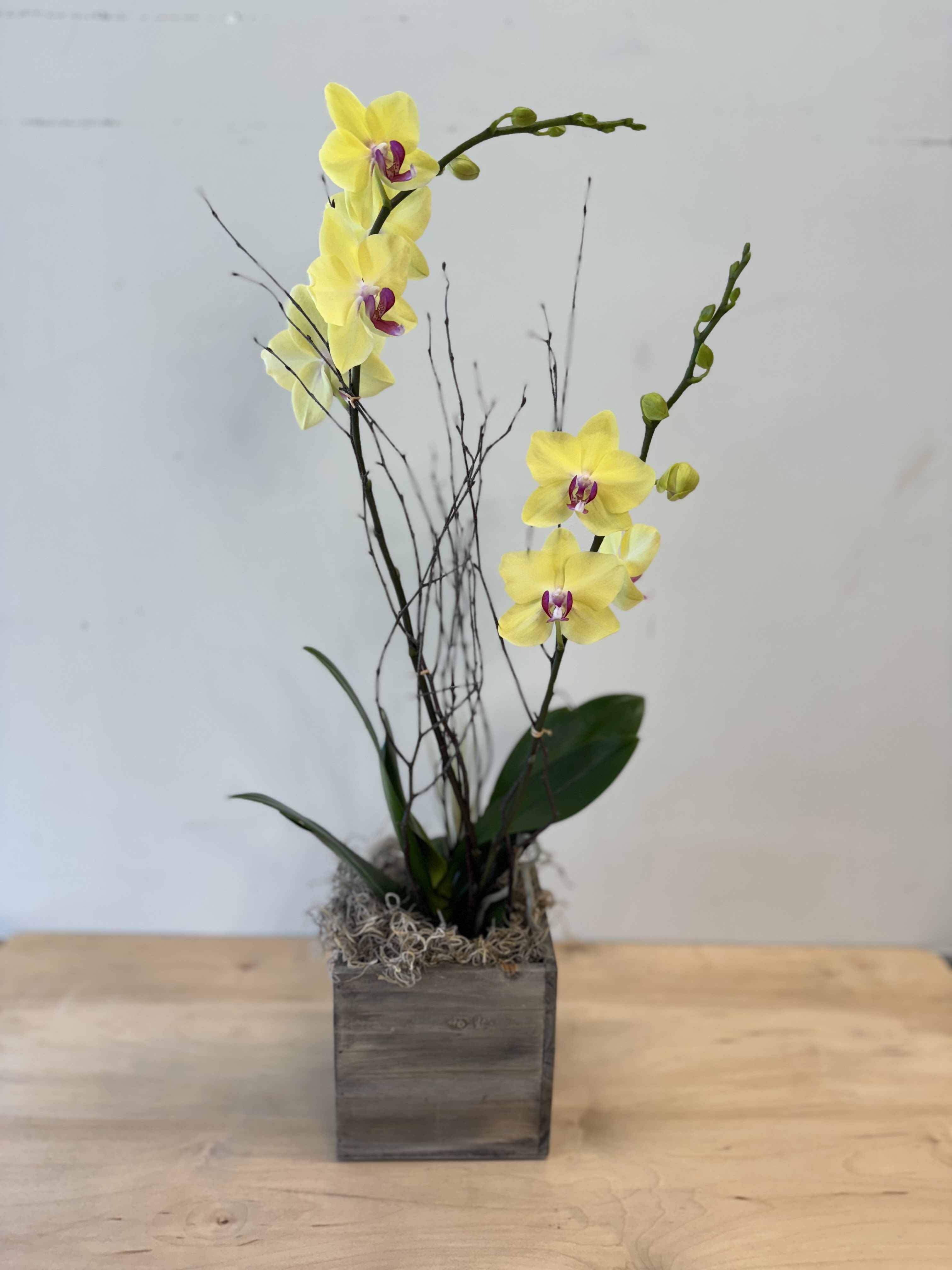 Yellow orchids in a wooden box with decorative twigs